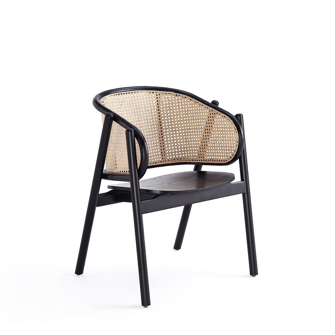 Versailles Cane Arm Chair - East Shore Modern Home Furnishings