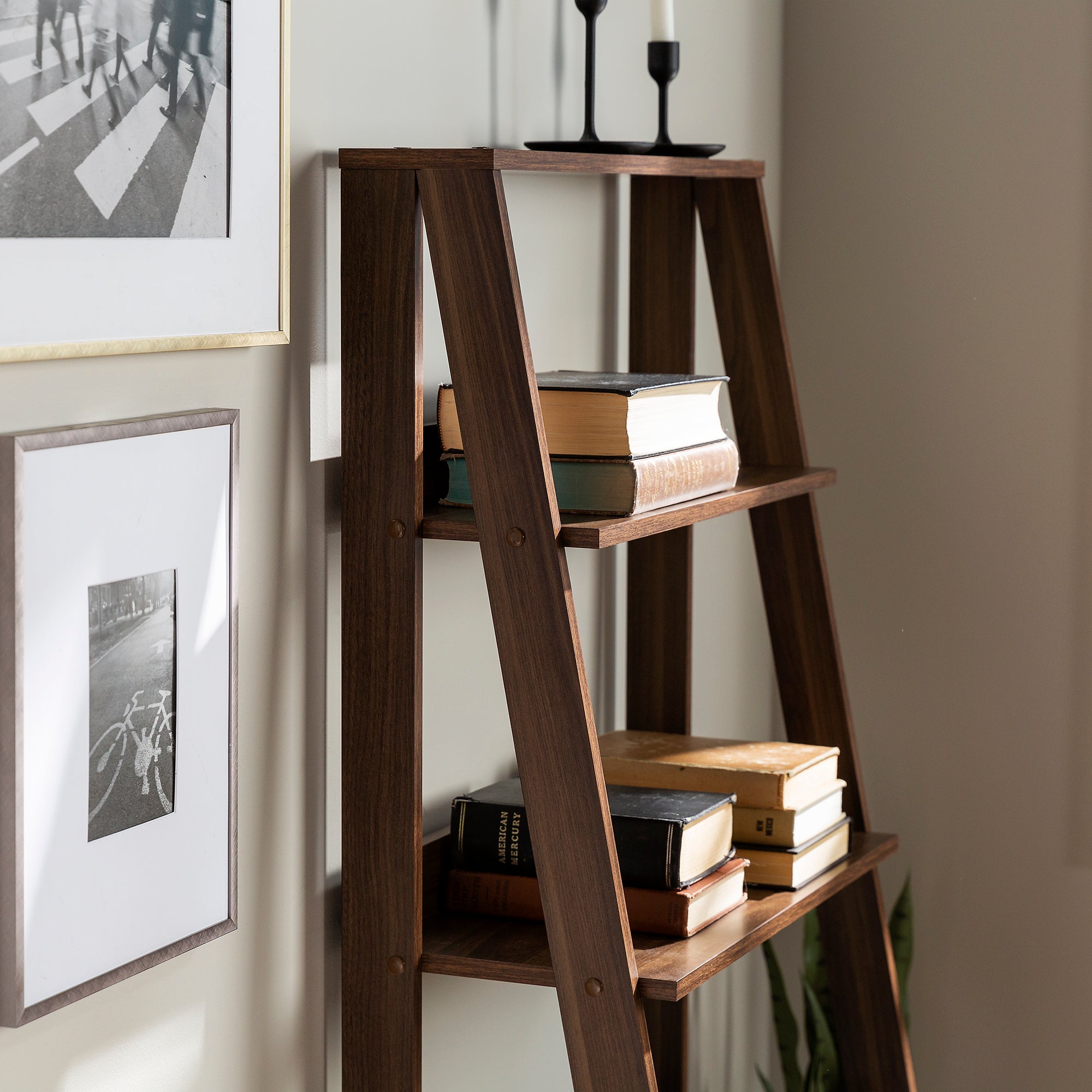 55" Modern Wood Ladder Bookshelf - East Shore Modern Home Furnishings