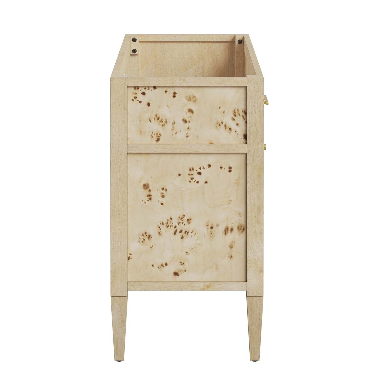 Elysian 48" Wood Bathroom Vanity Cabinet (Sink Basin Not Included) - East Shore Modern Home Furnishings