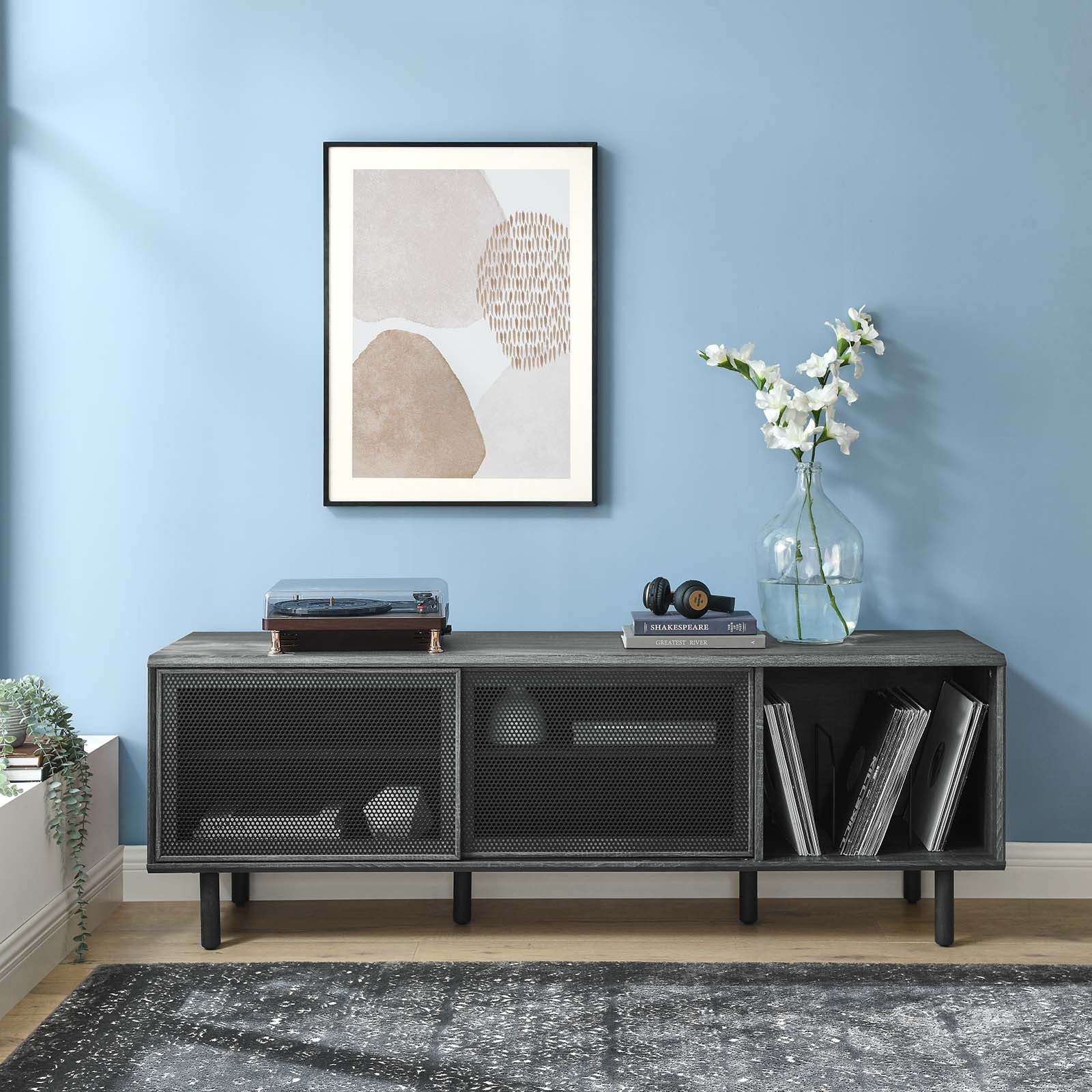 Kurtis 67" TV and Vinyl Record Stand - East Shore Modern Home Furnishings