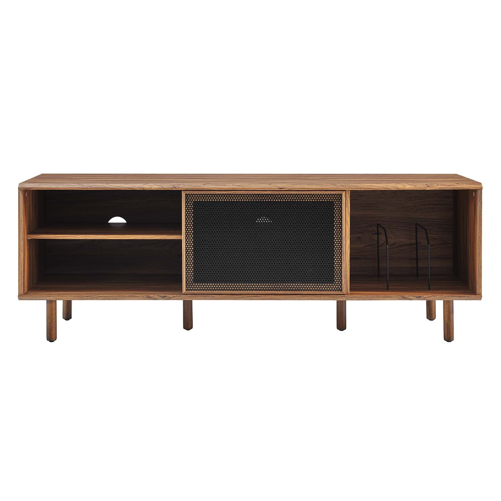 Kurtis 67" TV and Vinyl Record Stand - East Shore Modern Home Furnishings