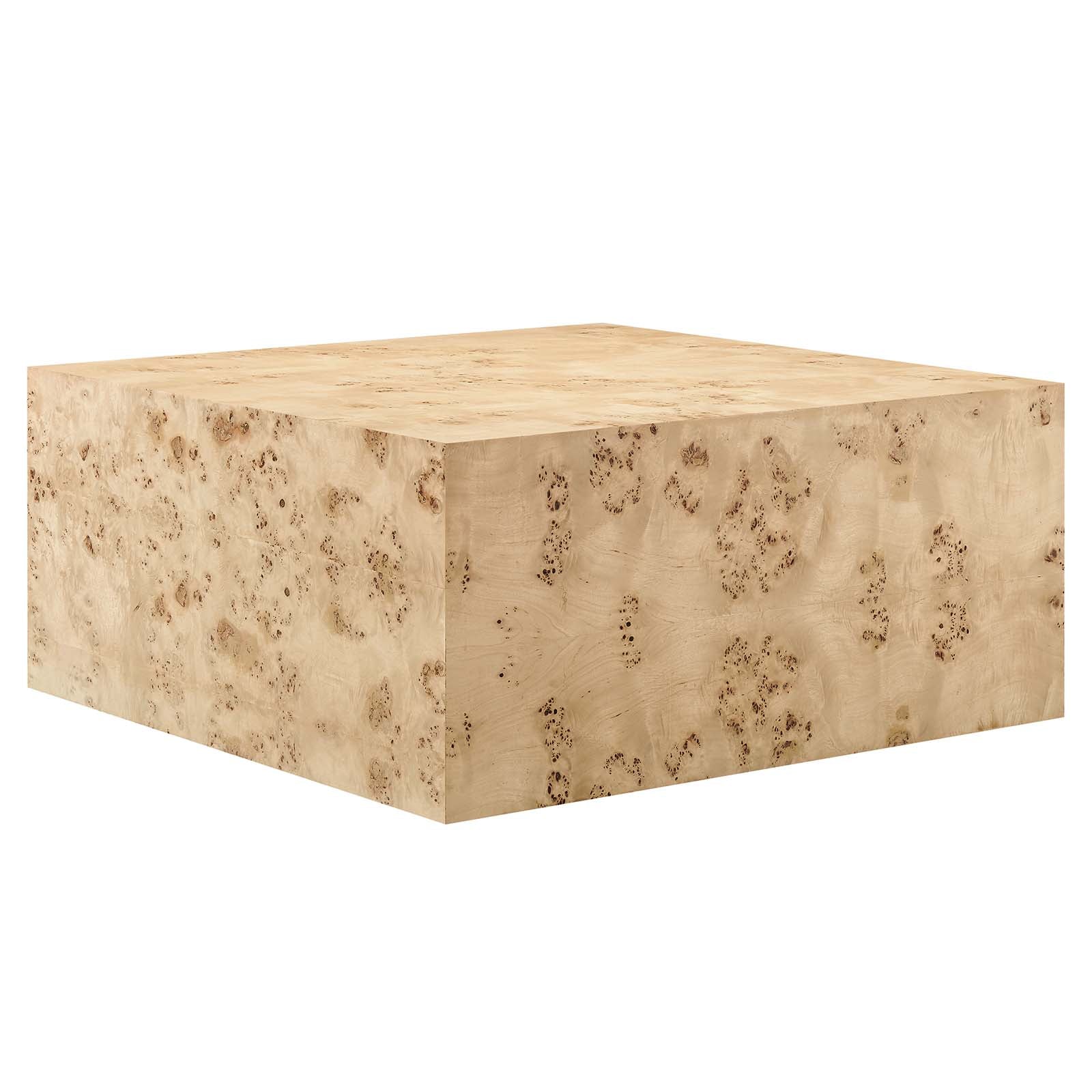 Cosmos 36" Square Burl Wood Coffee Table - East Shore Modern Home Furnishings