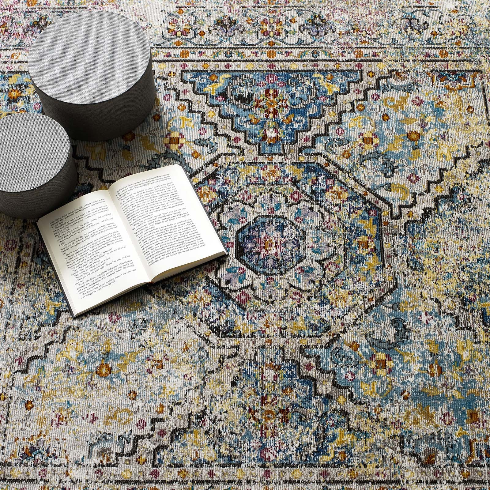 Success Jacinda Distressed Vintage Floral Persian Medallion 4x6 Area Rug