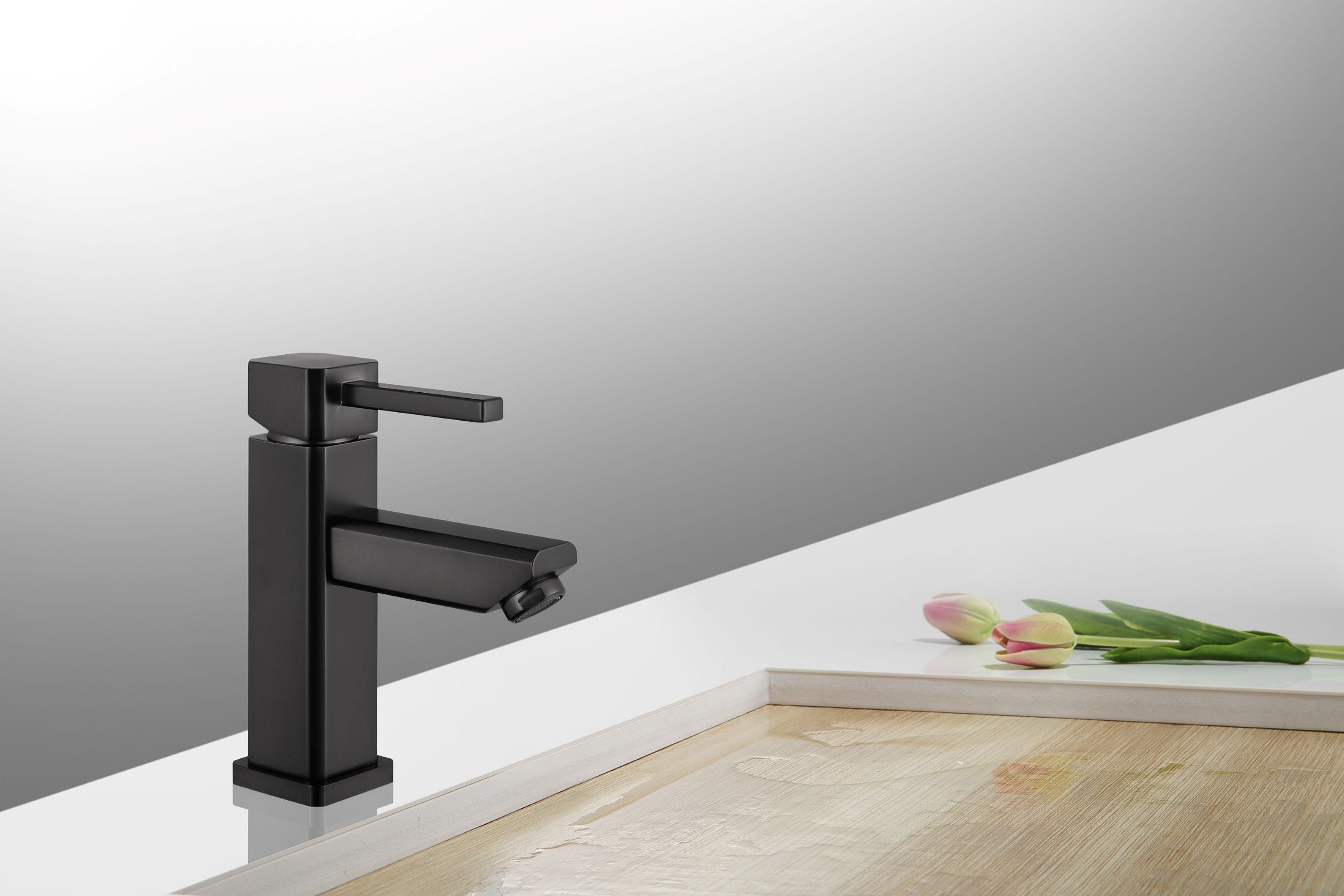 Faucet with Drain ZY6301